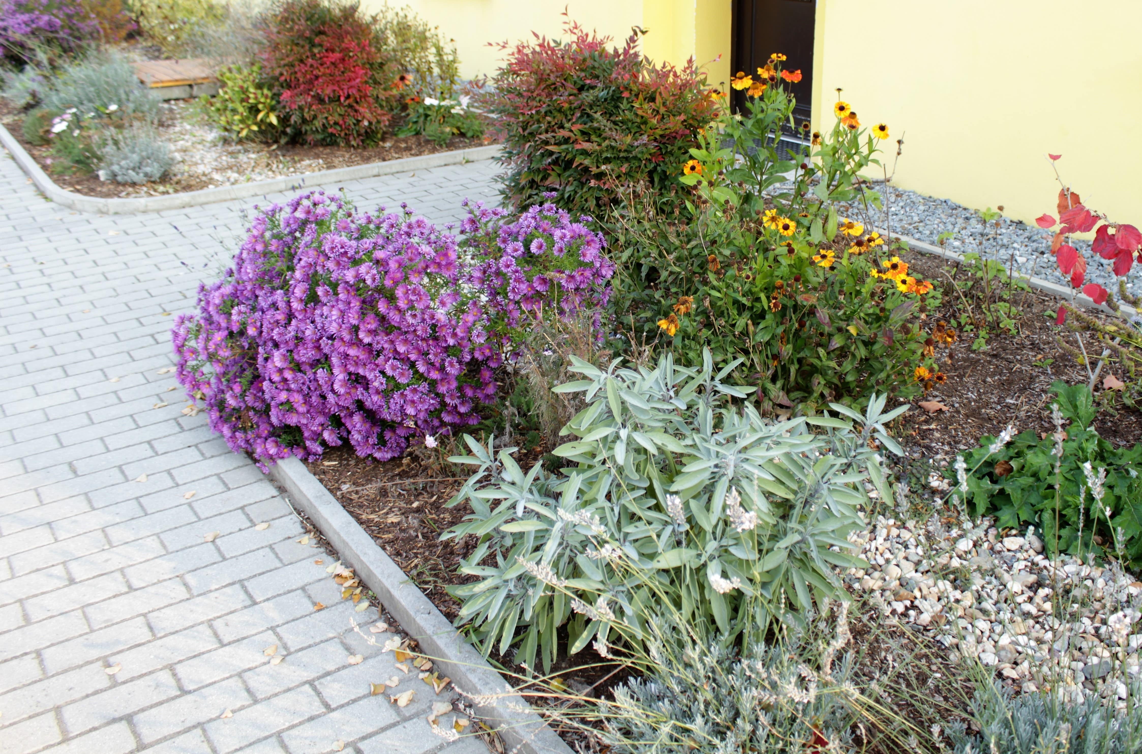 Cukr&aacute;rna pro včely a čmel&aacute;ky