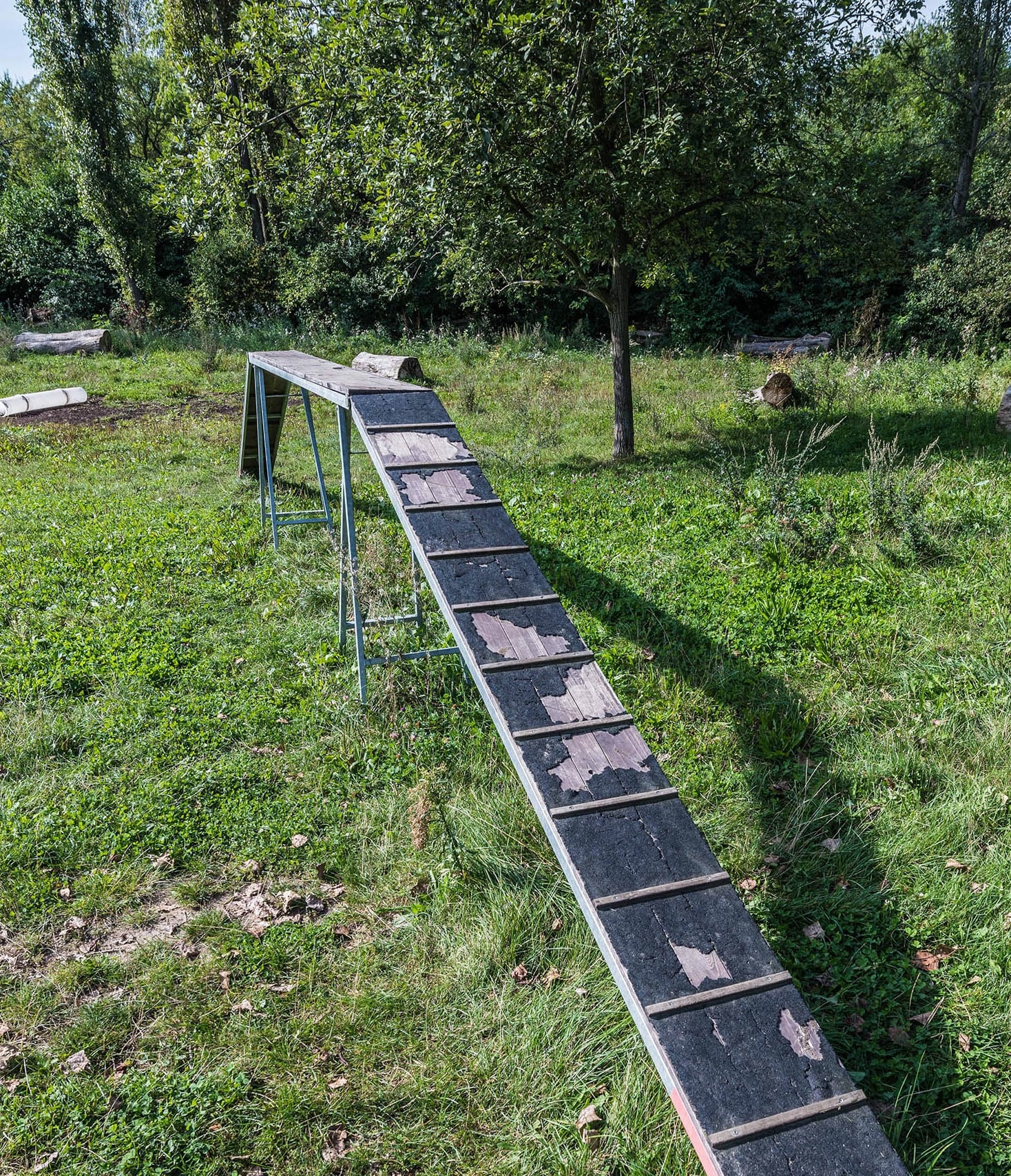 Ps&iacute; loučka K Sedli&scaron;ti